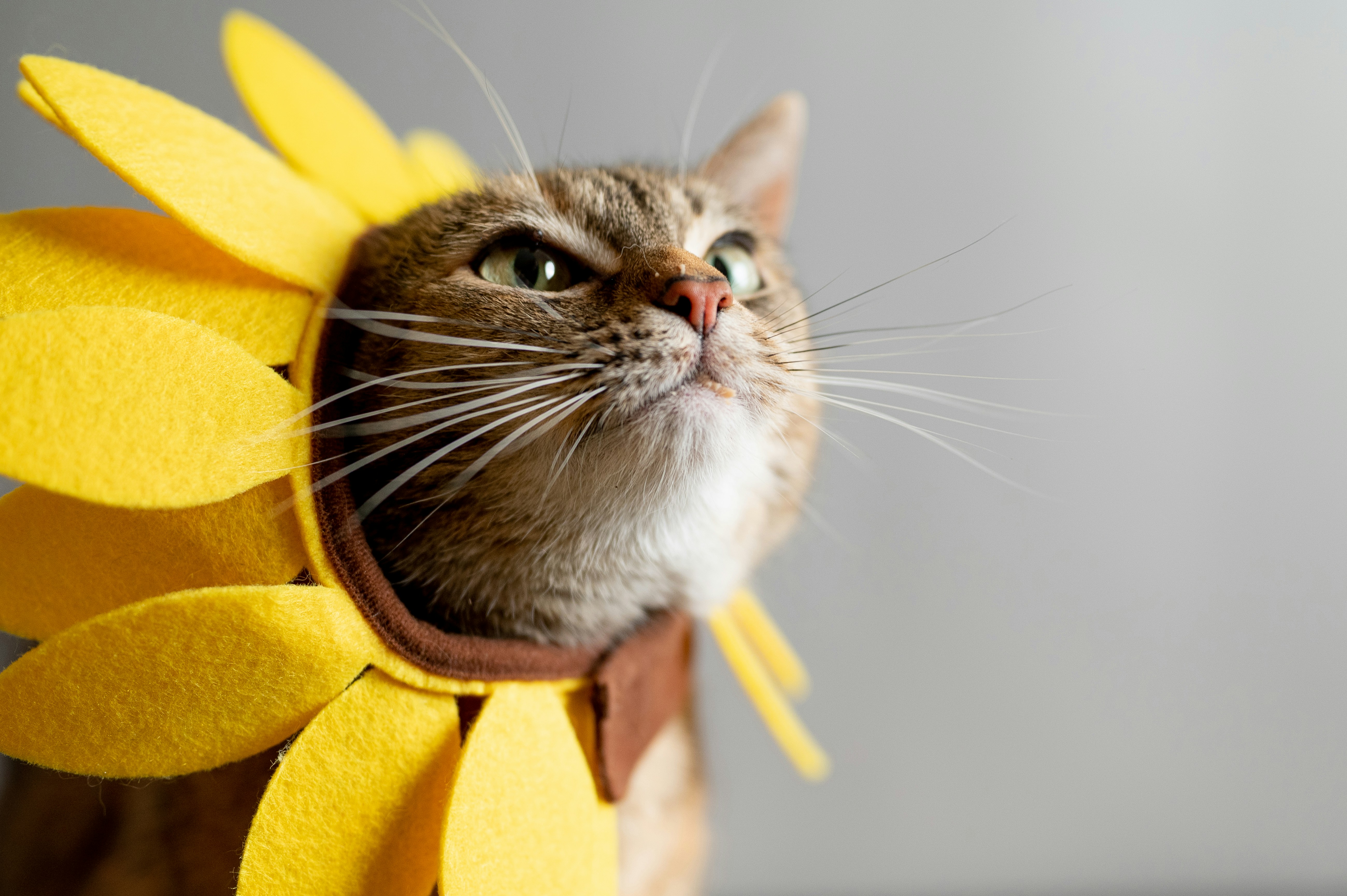 Nathan Anderson CQAoMJ2utDA Unsplash, Futurepeople